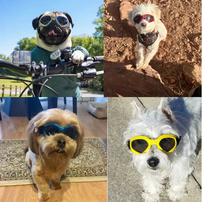 Pet UV Shield Sunglasses