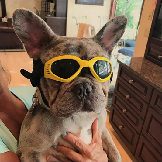 Pet UV Shield Sunglasses